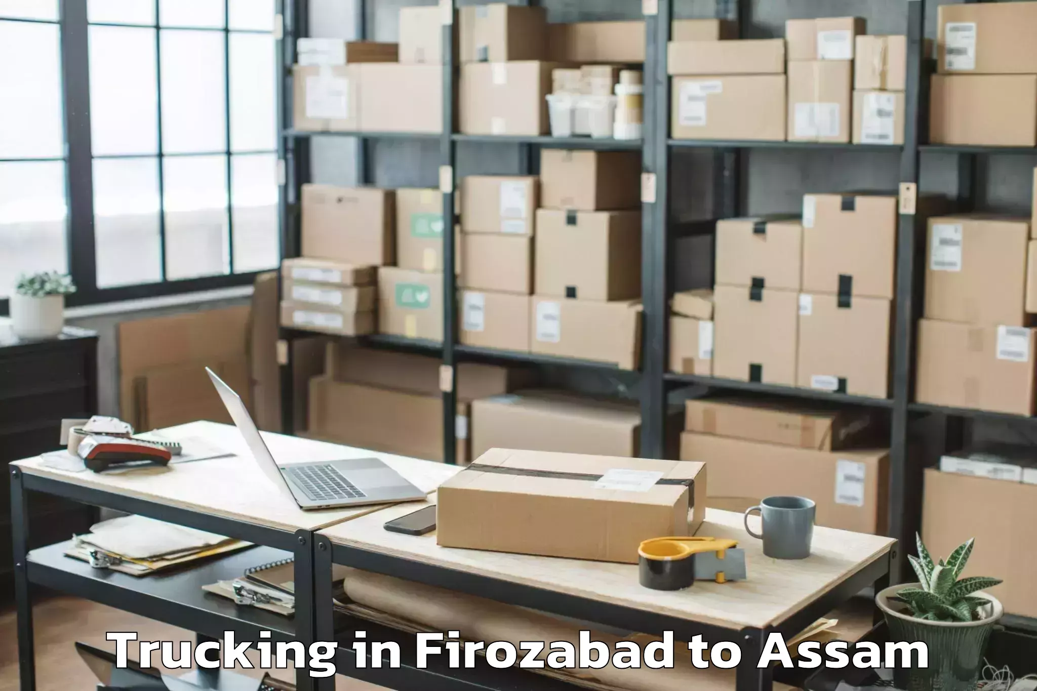 Easy Firozabad to Bogribari Trucking Booking